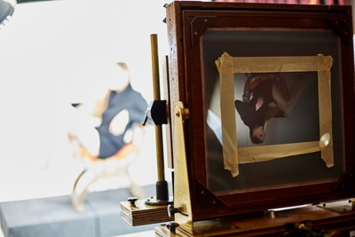 » #9/9 « / Wet plate collodion photo on glass / Blog-Beitrag von <a href="https://strkng.com/de/model/lysann/">Model Lysann</a> / 03.04.2018 13:02 / Alternative Techniken