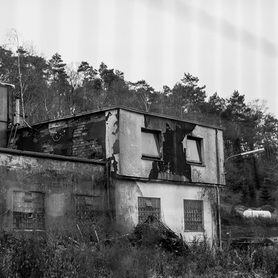 » #8/9 « / wanderung durch das muttent(h)al / Blog-Beitrag von <a href="https://strkng.com/de/fotografin/sanna+dimario/">Fotografin Sanna Dimario</a> / 07.01.2020 13:28